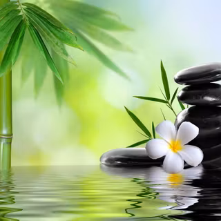 Spa massage wallpaper