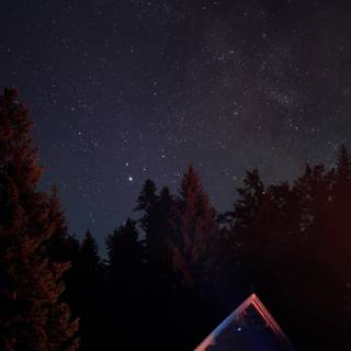 House night wallpaper