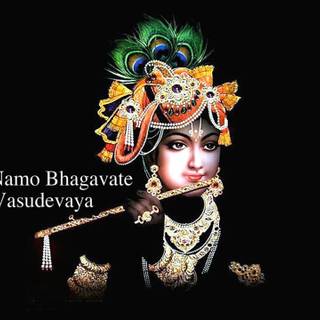Om Namo Bhagavate Vasudevaya wallpaper