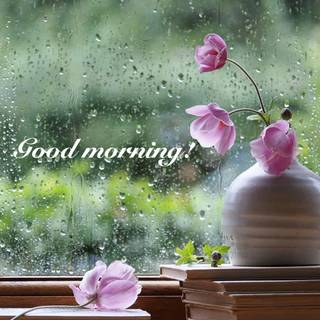 Rainy morning wallpaper
