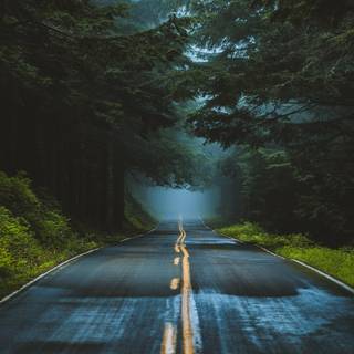 Road vertical wallpaper
