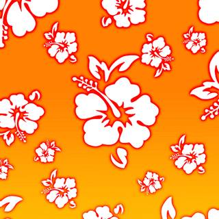 Hawaiian style wallpaper