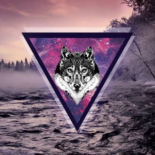 Purple wolves wallpaper