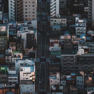 iPhone 11 Japanese wallpaper