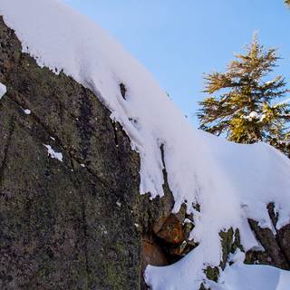 Snowboard phone wallpaper