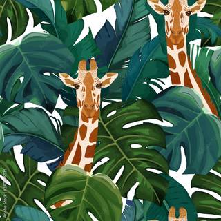 Giraffe summer wallpaper