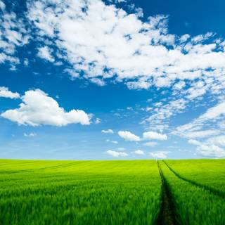 HD summer scenery wallpaper