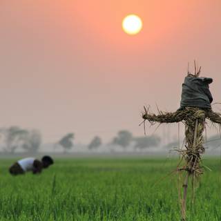 Nature of Bangladesh wallpaper