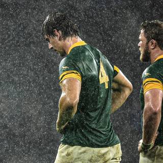 SA rugby wallpaper