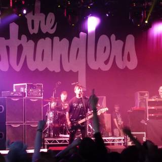 The Stranglers wallpaper