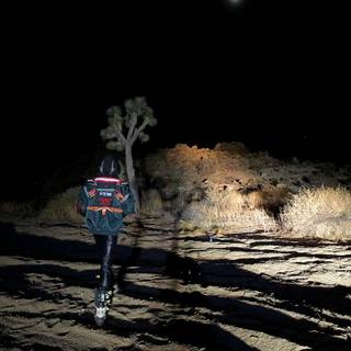 Destroy Lonely wallpaper