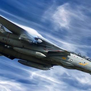 Grumman F-14 Tomcat wallpaper