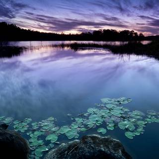 Scenary 4k ultra HD wallpaper