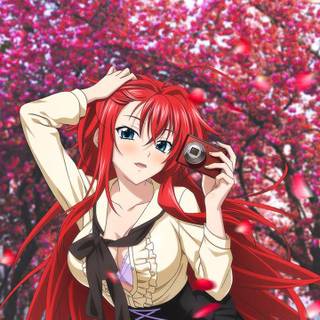 Rias Gremory iPhone wallpaper