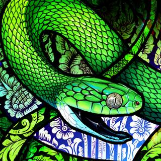 Snake art iPhone wallpaper