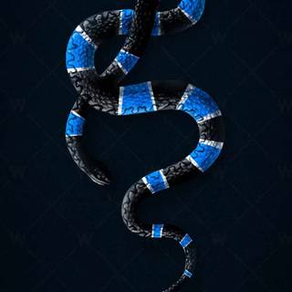 Snake art iPhone wallpaper