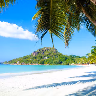 Summer tropics wallpaper