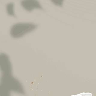 Sage aesthetic wallpaper