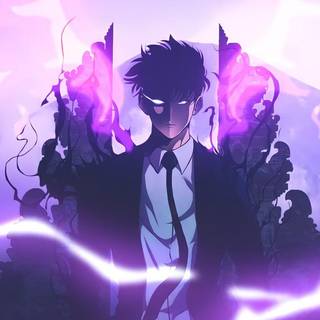 Anime Solo Levelling wallpaper