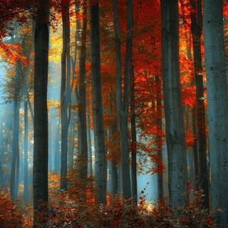 Fall aesthetic PC wallpaper