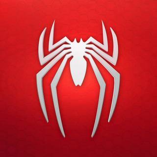 White red 4k wallpaper