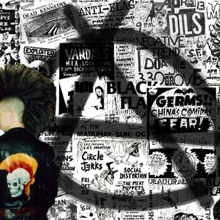 Punks Not Dead wallpaper
