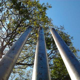 Cricket stump wallpaper