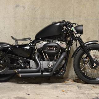 Harley Davidson Nightster wallpaper