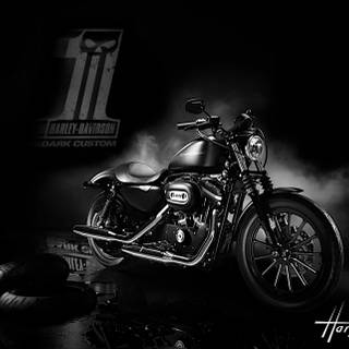 Harley Davidson Nightster wallpaper