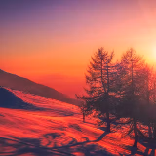 Beautiful sunrise wallpaper