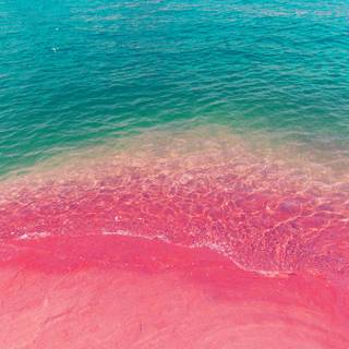 Pink wave wallpaper