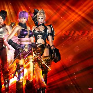 Ninja Gaiden II wallpaper
