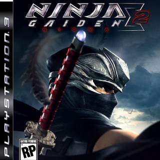 Ninja Gaiden II wallpaper