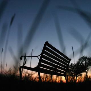 Daily-life wallpaper