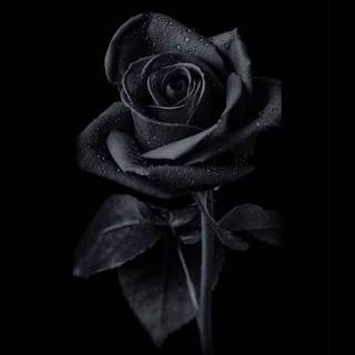 Realme black wallpaper