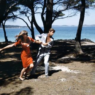 Pierrot Le Fou wallpaper