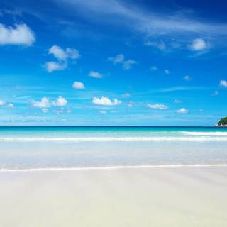 Dual monitor summer wallpaper