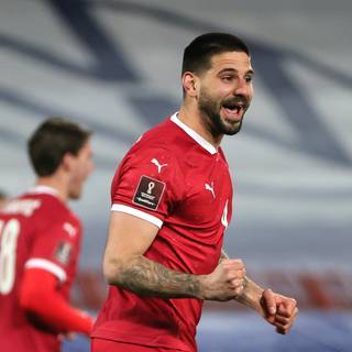 Aleksandar Mitrović wallpaper