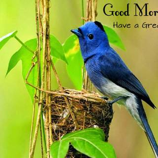 Lovely birds and flowers wallpaper
