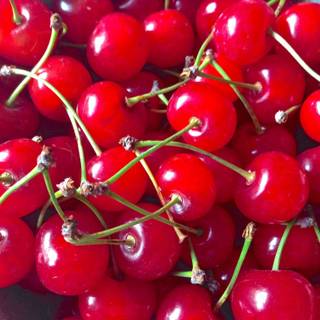 Cherry picking time wallpaper