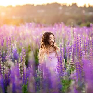 Lupine meadow wallpaper