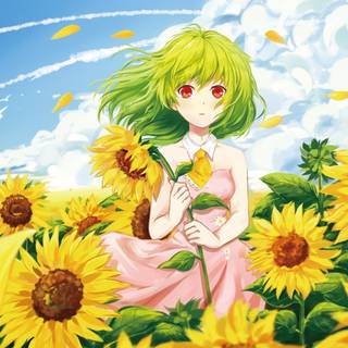 Summer anime flower wallpaper