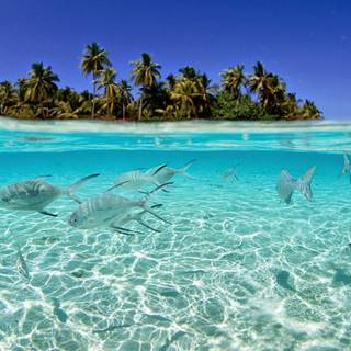 Beautiful island desktop wallpaper