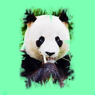 Thug panda wallpaper
