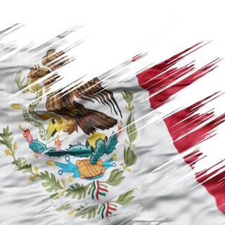 Mexico flag aesthetic wallpaper