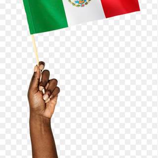 Mexico flag aesthetic wallpaper