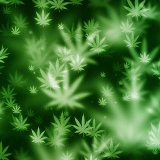 Rasta weed wallpaper