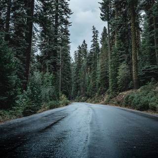 Rainy mountain wallpaper