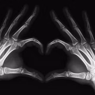 Skeleton heart wallpaper