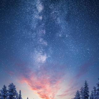 iPhone 13 Pro nature wallpaper